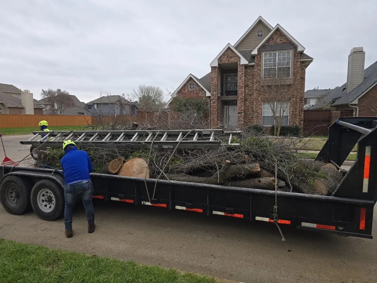 Expert Lot Clearing with proper safety equipment in Surrey
